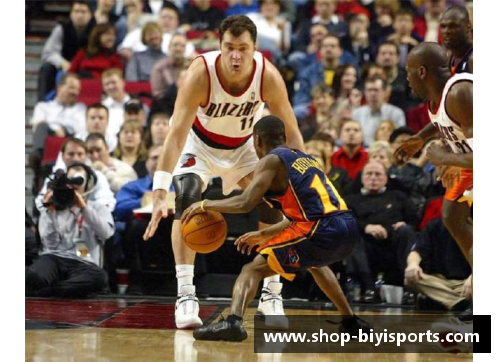 必一运动NBA现役球员身高大盘点：探索身高分布与明星球员的身体统计 - 副本